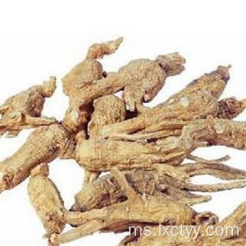 ginseng ekstrak teh kesihatan